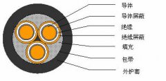 3*2.5，3*3，3*4，3*6，3*10，3*16，3*25屏蔽電纜結(jié)構(gòu)圖